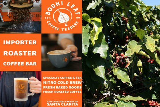 Bodhi Leaf Coffee grand opening