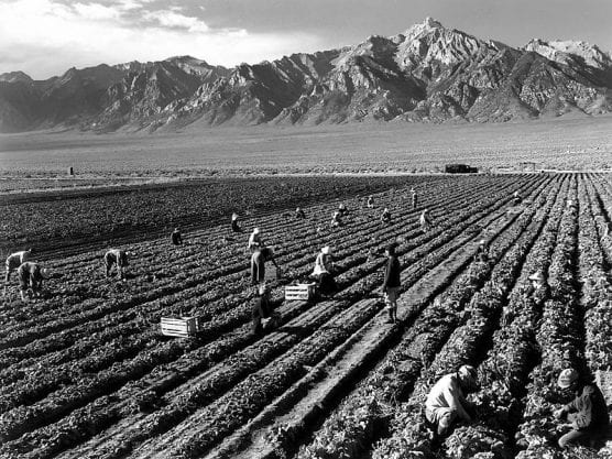 Farm workers near Mt. Williamson in California. | Photo: Ansel Adams, public domain