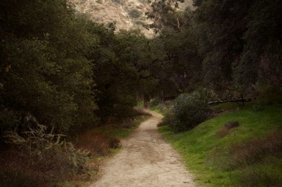 Gabrielino Trail, Altadena, Pasadena area, California. Photo: Levi Clancy/WMC-CC 4.0.