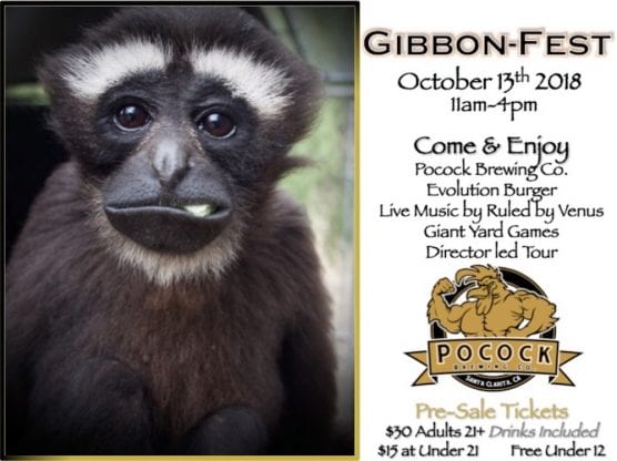 Gibbon-Fest