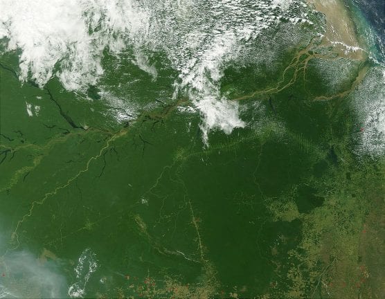 Amazon rainforest. | Photo: NASA.