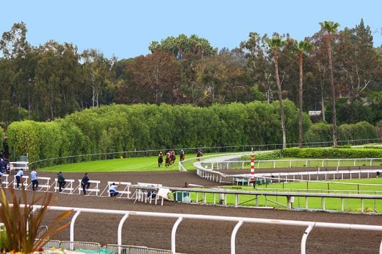 Horses on the downhill turf course at Santa Anita, approaching the dirt crossover. | Photo: Rennett Stowe/Wikimedia Commons 2.0.