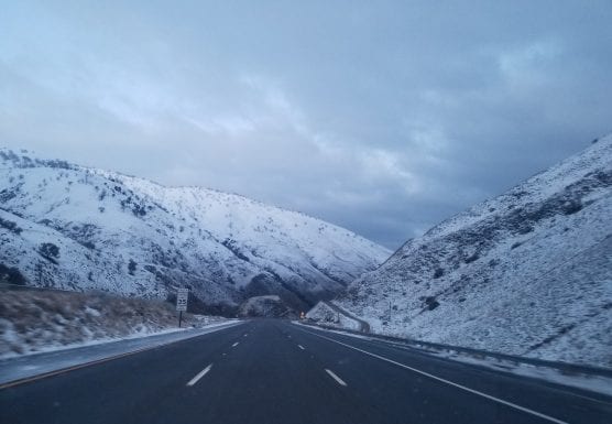 grapevine reopened