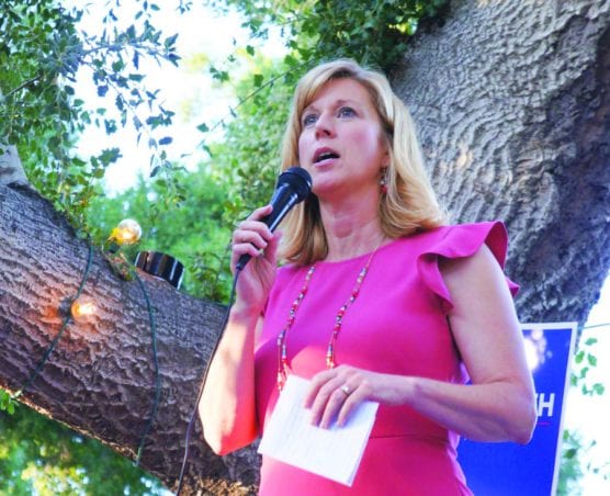 Christy Smith, a candidate for California's 38th District Assembly, speaks to constituents and donors during a campaign kickoff at a residence in Newhall on Thursday. | Photo: Samie Gebers / The Signal.