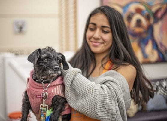 Shelter Hope Santa Clarita store supervisor Kallista Arreola holds Parker, a dog the organization hopes will soon find a permanent home, on December 28, 2019. | Photo: Bobby Block / The Signal.