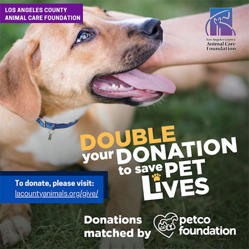 Petco, County Animal Care Launch Campaign to Help Save