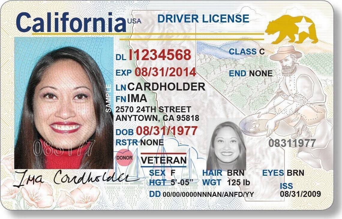 driver license online