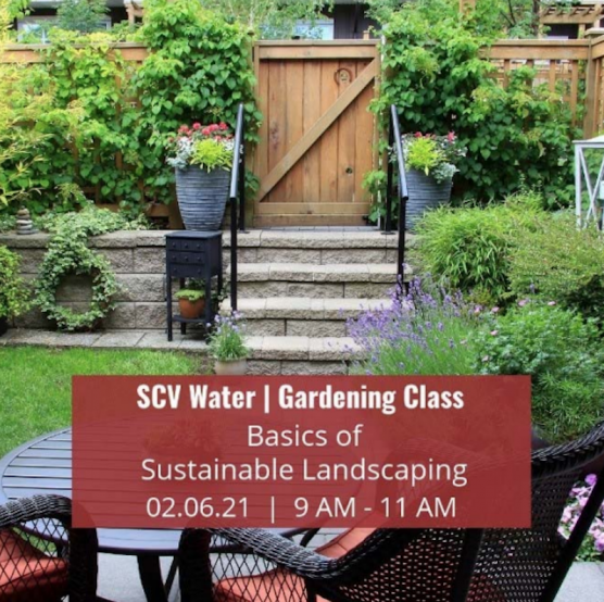 SCV Water Gardening Class