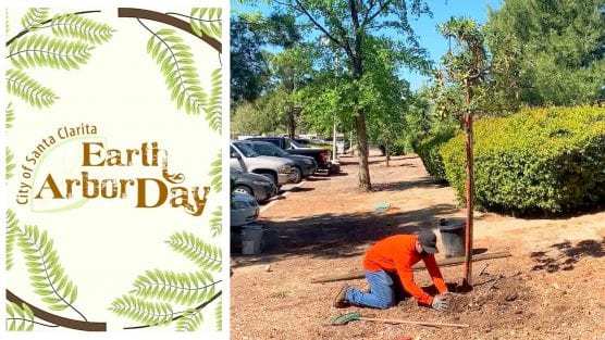 earth arbor day goes virtual