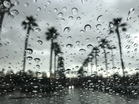 LA Rain