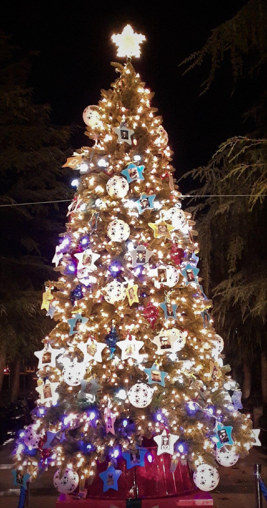 Vietnam Veterans to be Honored at Christmas Tree, Menorah