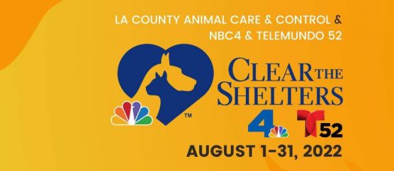 Clear the shelters banner