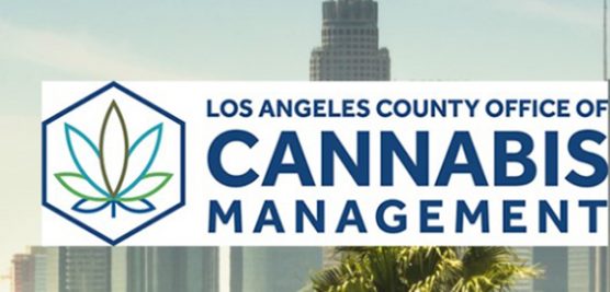 office of cannabis management