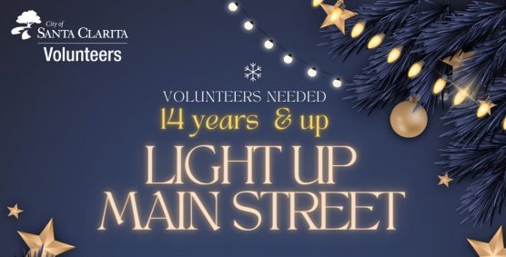 volunteers light up main streetcrop