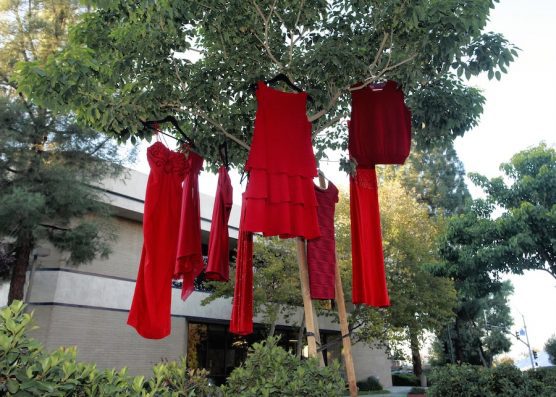 Red Dresses Vest Display