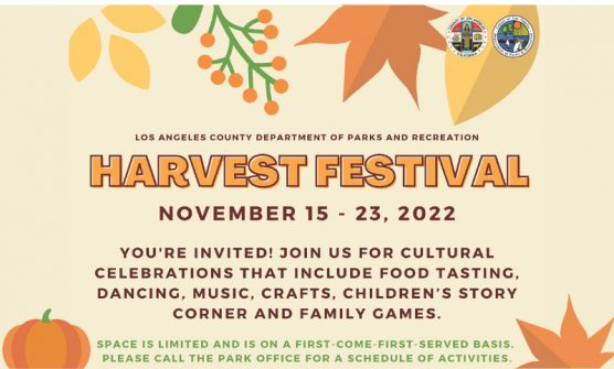 harvest festival