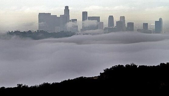cold foggy weather Los Angeles