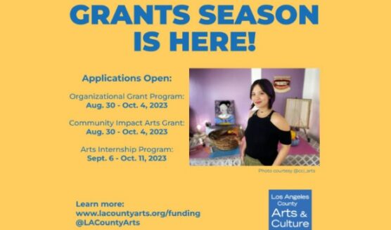 la county arts grants