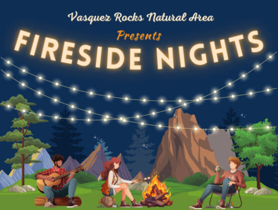 fireside nights vasquez rockscrop