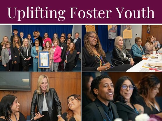 Foster Youth LA County