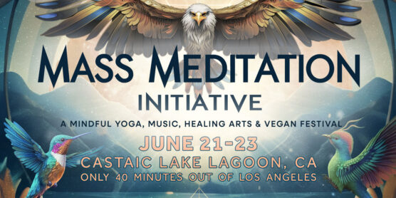 mass mediation festival banner