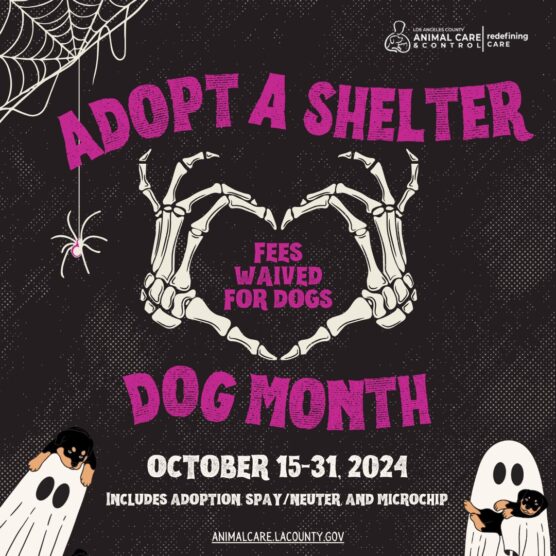 Adopt-a-Shelter-Dog-Month-flyer