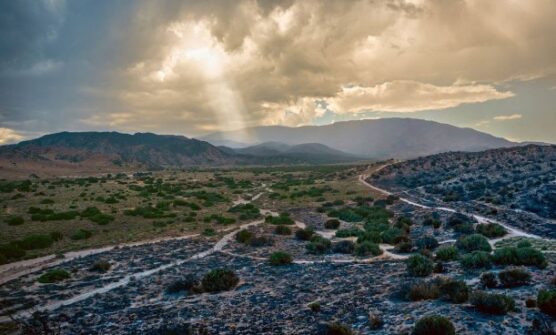 Hungry Valley reopens