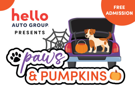 Paws & Pumpkins Flyer pt2crop