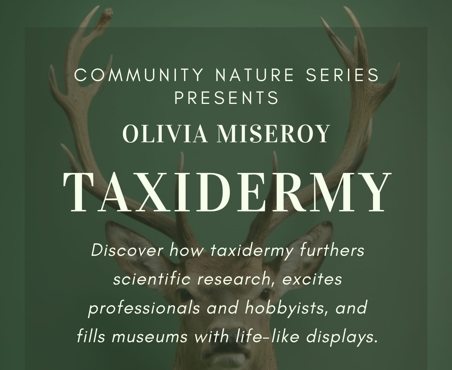 Taxidermy Flier cropped