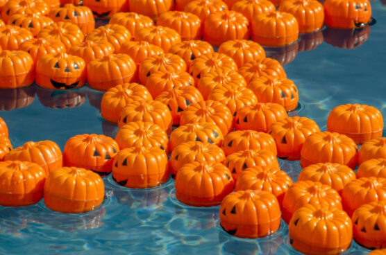 floating pumpkin patch