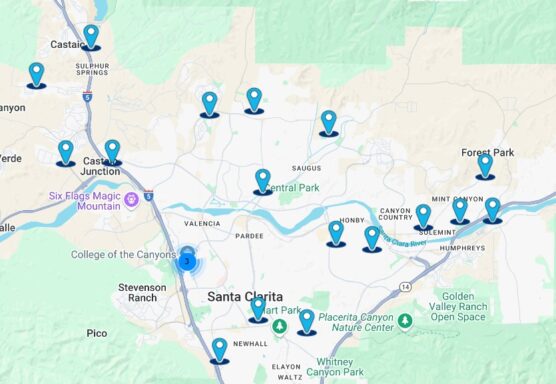 voting centers 11 day sCV