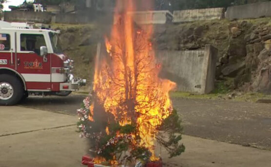 burning christmas tree