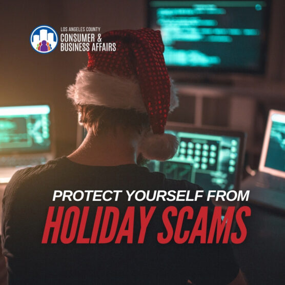 holiday scams