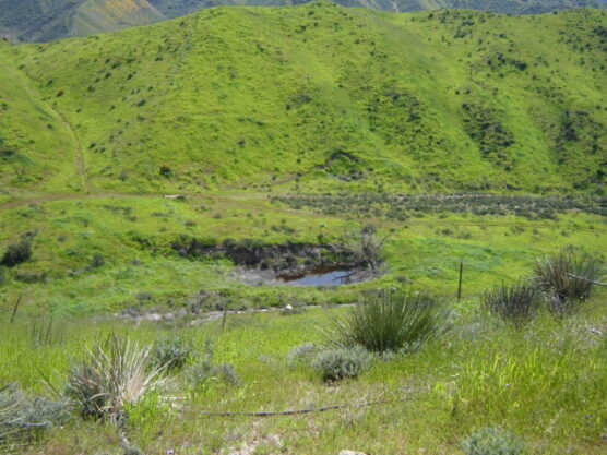 072125-SPRINGCANYON-2_Courtesy scope