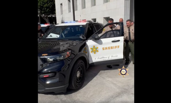 LASD new cars