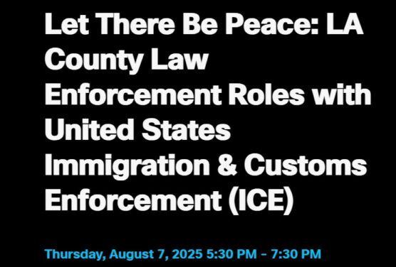 county law enforcement Ice