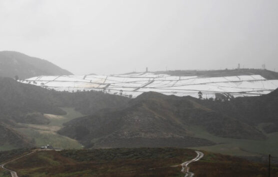 Chicquita tour diaper