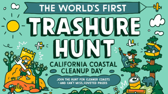 Coastal clean up crop