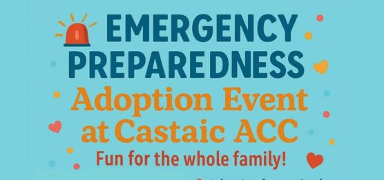 DACC Emergency Prepardness cropped