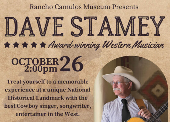 Dave Stamey Flyer