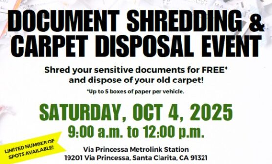 Document shredding cropped