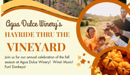 Hayride through the vineyard cropped