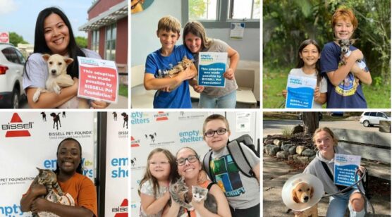 empty the shelters event