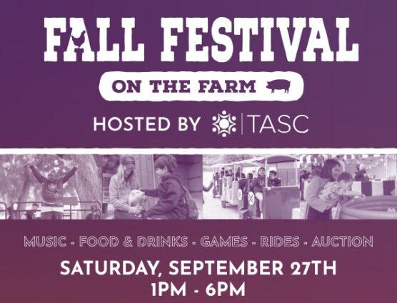 fall festival cropped