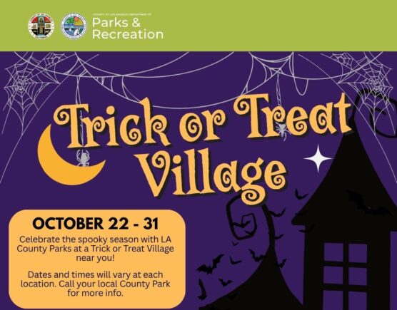 1-Trick-or-Treat_Cover_English cropped