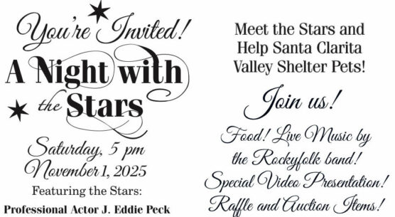 A night with the Stars crop