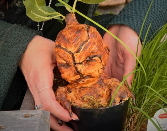 library herbology class 2 cropped