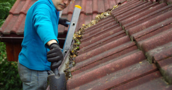 Clean gutters