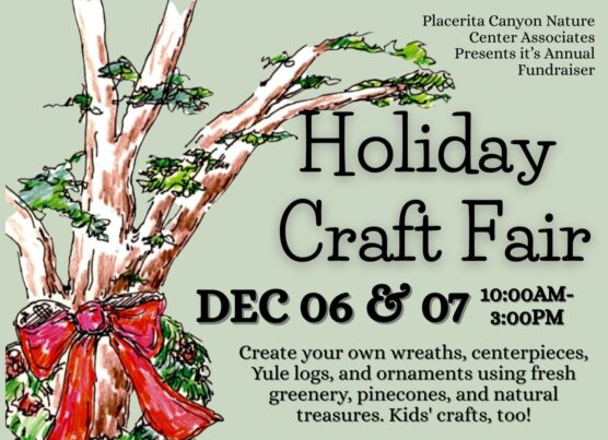 Holiday Craft Fair Placerita Canyon Nature center cropped