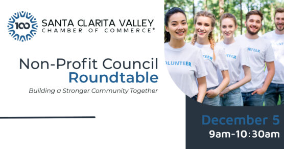 Non profit council roundtable